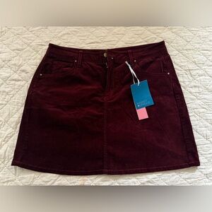 Market & Spruce Maroon Corduroy Mini Skirt